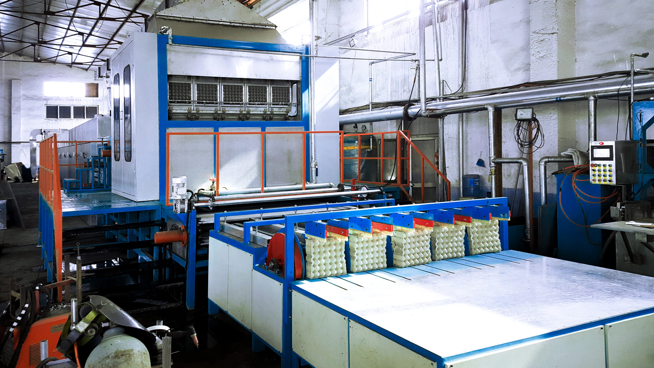 From Waste to Value: The Fiber Molding Process - Danian Egg tray (fiber packaging) production machine